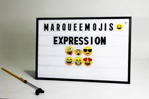 Expression Pack - Changeable Emoji Panels (6) For Your Marquee Sign