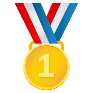 1ST PLACE MEDAL