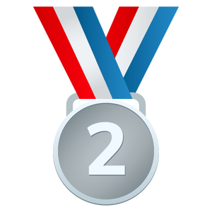 2ND PLACE MEDAL