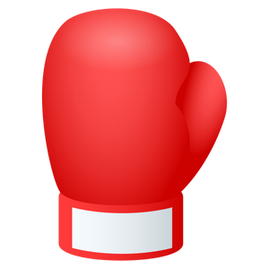 BOXING GLOVE