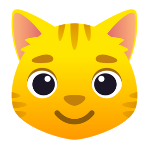 CAT FACE
