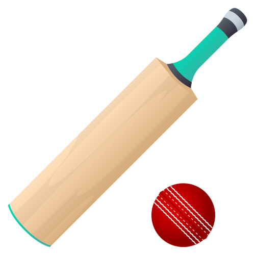 CRICKET GAME