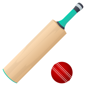 CRICKET GAME