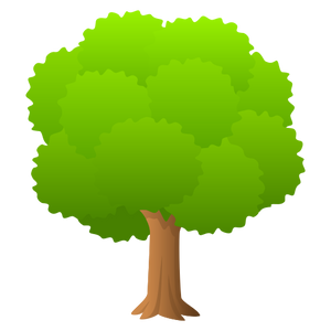 DECIDUOUS TREE