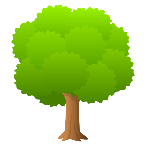 DECIDUOUS TREE