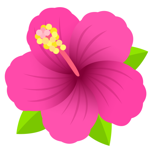HIBISCUS